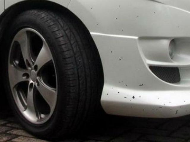 Ingin Cat Mobil Selicin Kaca Ini Caranya Otomotif Liputan6 Com