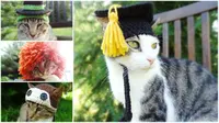 Inspirasi topi rajut keren untuk kucing. (My Modern Met)