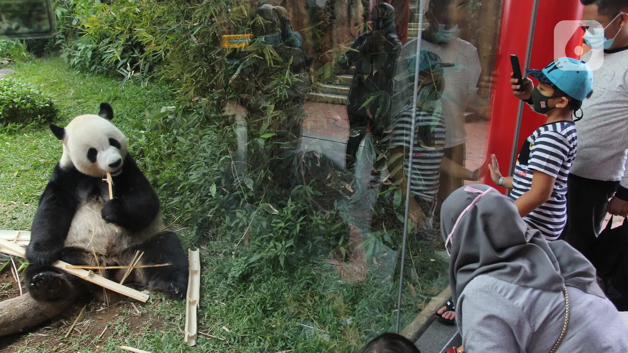 FOTO: Dampak PSBB Jakarta, Wisatawan ke Kawasan Puncak Turun 50 Persen