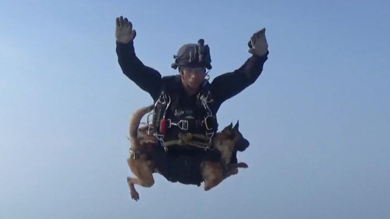 Penerjun Cantik dan Anjing Terjun, Kejutan di HUT ke-72 TNI