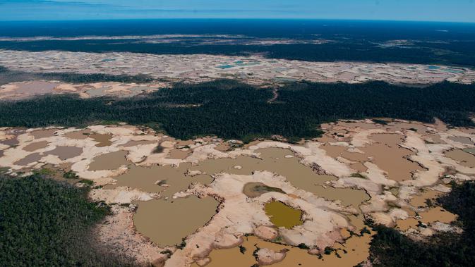 Pandangan udara kawasan Hutan Amazon yang terdeforestasi (penurunan luas area hutan secara kualitas dan kuantitas) di wilayah Sungai Madre de Dios, Peru, Jumat (17/5/2019). Keberadaan tambang ilegal di Hutan Amazon sangat merusak kelestarian lingkungan. (CRIS BOURONCLE/AFP)