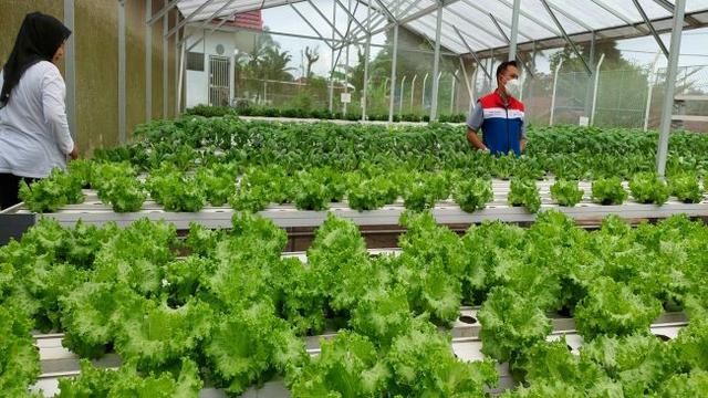 Gerai Energi Jambi, binaan PHR Pertamina Field Jambi (Foto: liputan6.com/Agustina Melani)