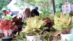 Pengunjung melihat-lihat tanaman yang dijual pada pameran Keanekaragaman Hayati Nusantara Expo di Lapangan Banteng, Jakarta, Sabtu (30/11/2019). Pameran dalam rangka memperingati Hari Cinta Puspa dan Satwa Nasional 2019 ini berlangsung hingga 8 Desember mendatang. (Liputan6.com/Helmi Fithriansyah)