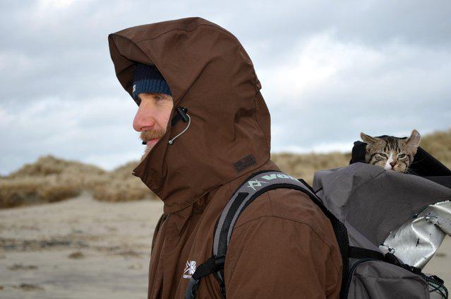 berlindung di ransel pemiliknya, Christian Witte | Photo copyright Dailymail.co.uk