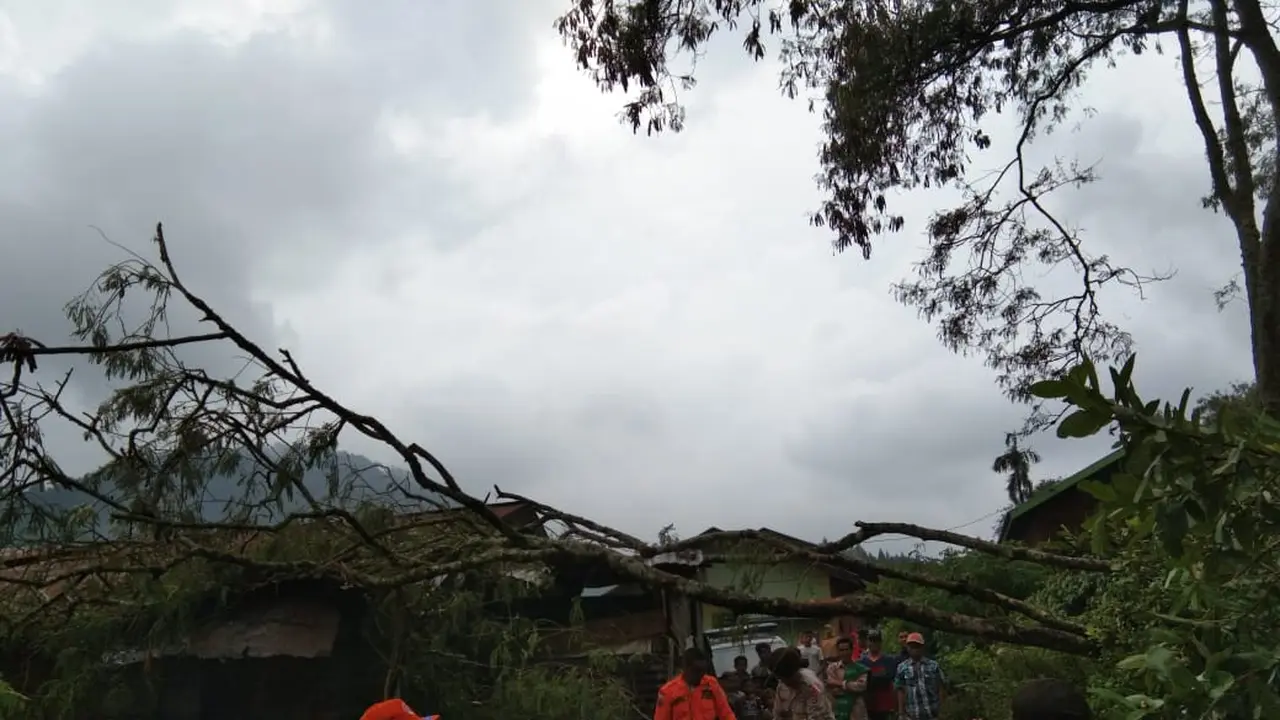 Angin Kencang di Aceh Tengah