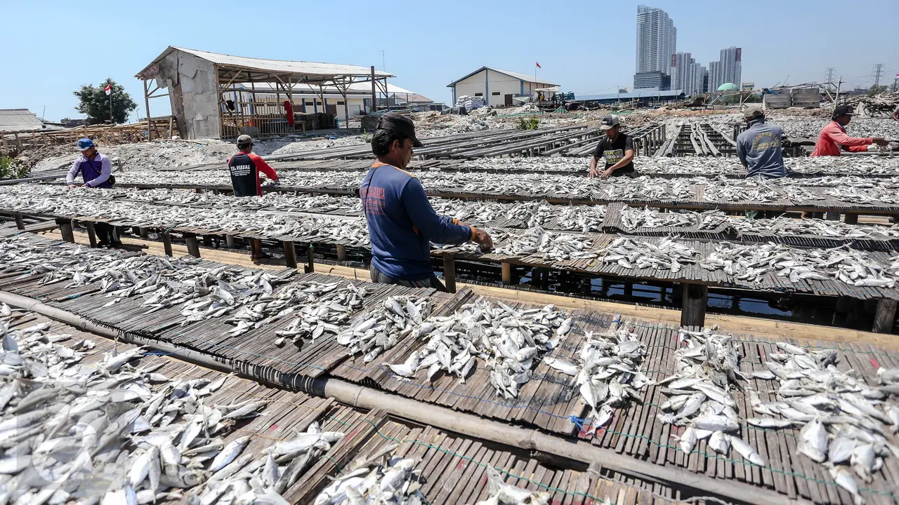 20150803-Musim Kemarau, Produksi Ikan Asin Meningkat -Jakarta