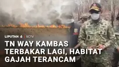 Karhutla Way Kambas Meluas, Api Ancam Jalur Perlintasan Gajah