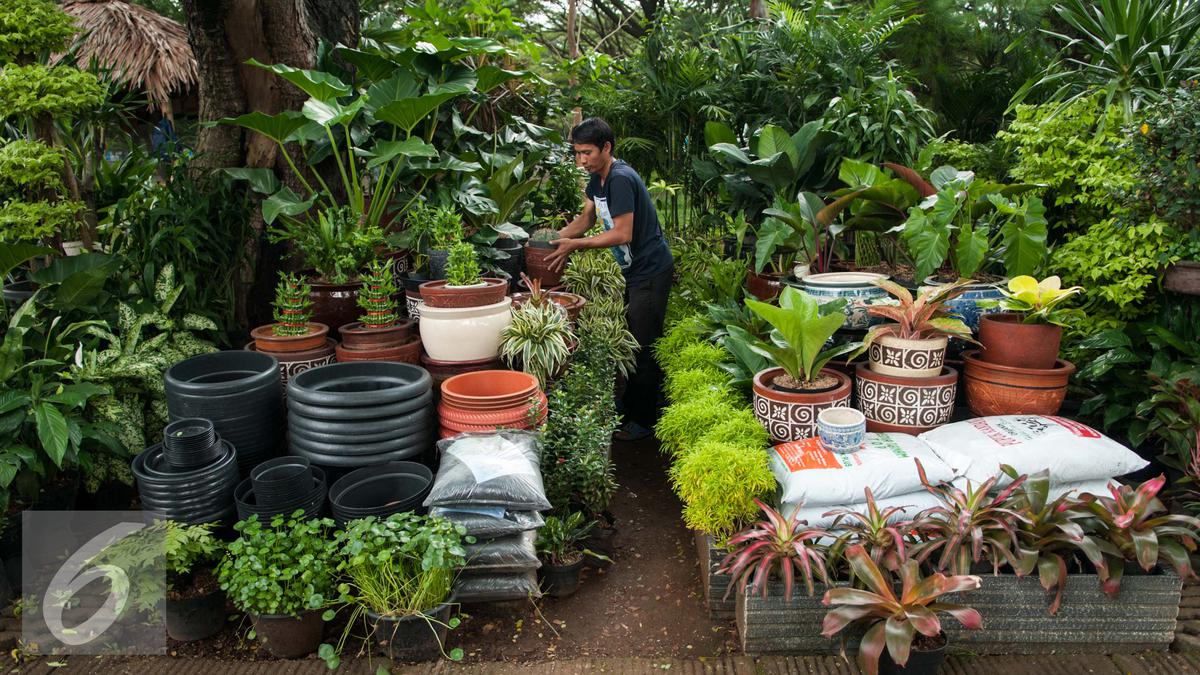 9 Ide Bisnis Tanaman Kekinian 2026, Modal Kecil Untung Maksimal