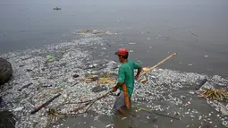 Pekerja mengumpulkan ikan mati yang hanyut ke daratan Freedom Island di sepanjang Teluk Manila, Filipina, Jumat (11/10/2019). Pekerja harus mengumpulkan ikan mati di antara sampah yang mencemari Teluk Manila. (Ted ALJIBE/AFP)