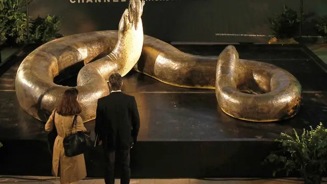 titanoboa