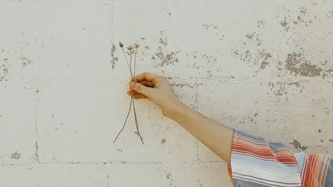 Ilustrasi./Copyright unsplash.com/victoria bilsborough