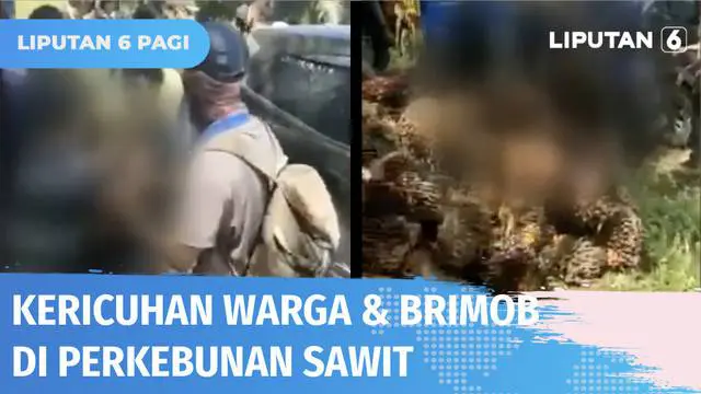 Kericuhan terjadi di perkebunan sawit PT Eagle High Plantation, Ketapang. Kejadian berawal dari anggota Brimob yang melihat warga diduga melakukan pencurian buah sawit milik perusahaan. Satu orang warga terkena tembakan.