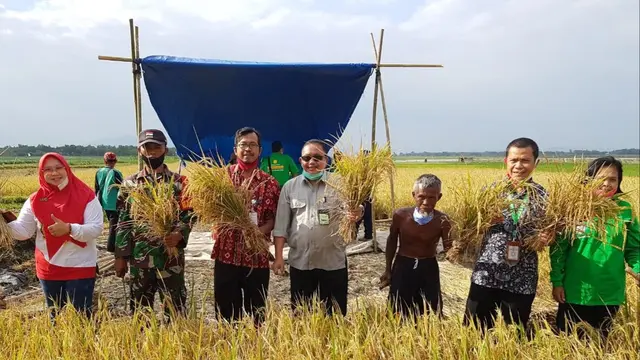 Gerakan percepatan olah tanah dan tanam (GPOT) Kelompok Tani Dewi Sri Desa Tegalharjo, Kecamatan Eromoko, Kabupaten Wonogiri. (Dok Kementan)