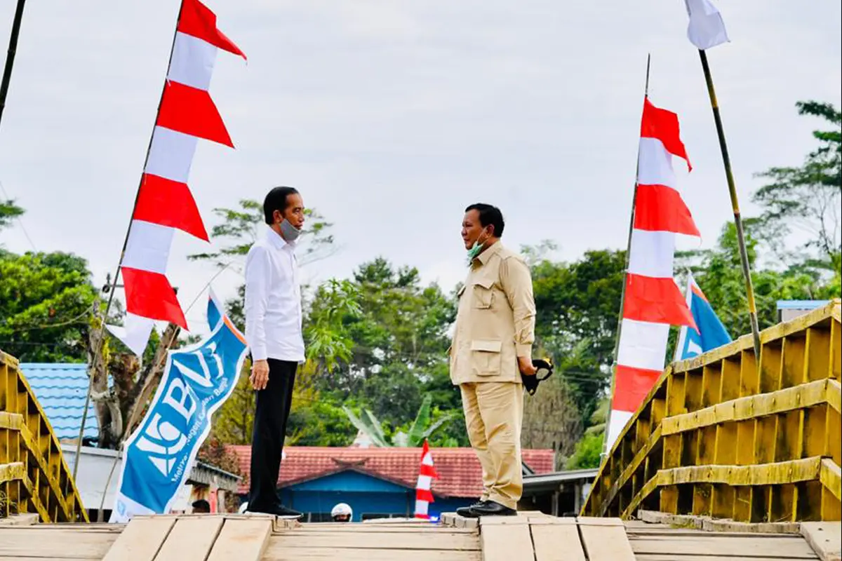 Presiden Jokowi Tinjau Lahan untuk Lambung Pangan Nasional