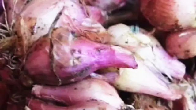 Import Bawang Dibatasi, Harga Bawang Merah Naik