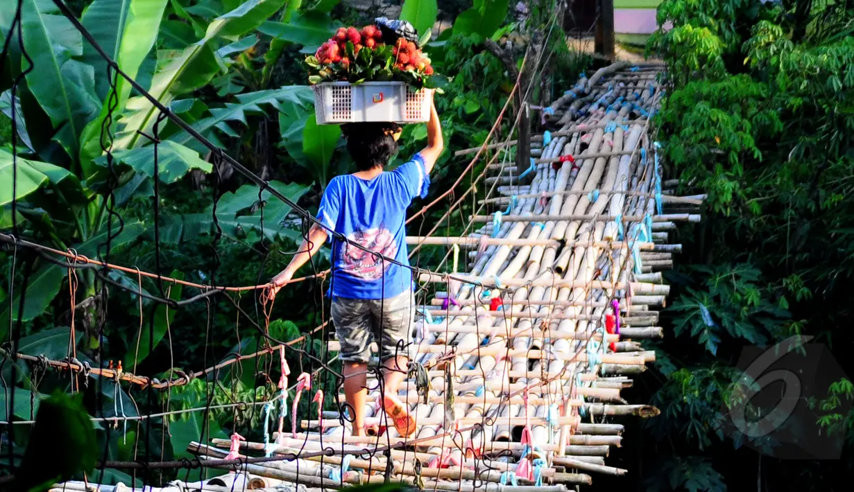 Warga melintasi jembatan bambu  yang menghubungkan Kampung Bambon, Jakarta Selatan dan Kelapa Dua Depok, Depok, Jumat (13/3/2015). (Liputan6.com/Yoppy Renato)