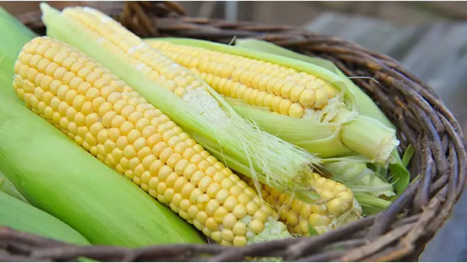 (c) shutterstock.com