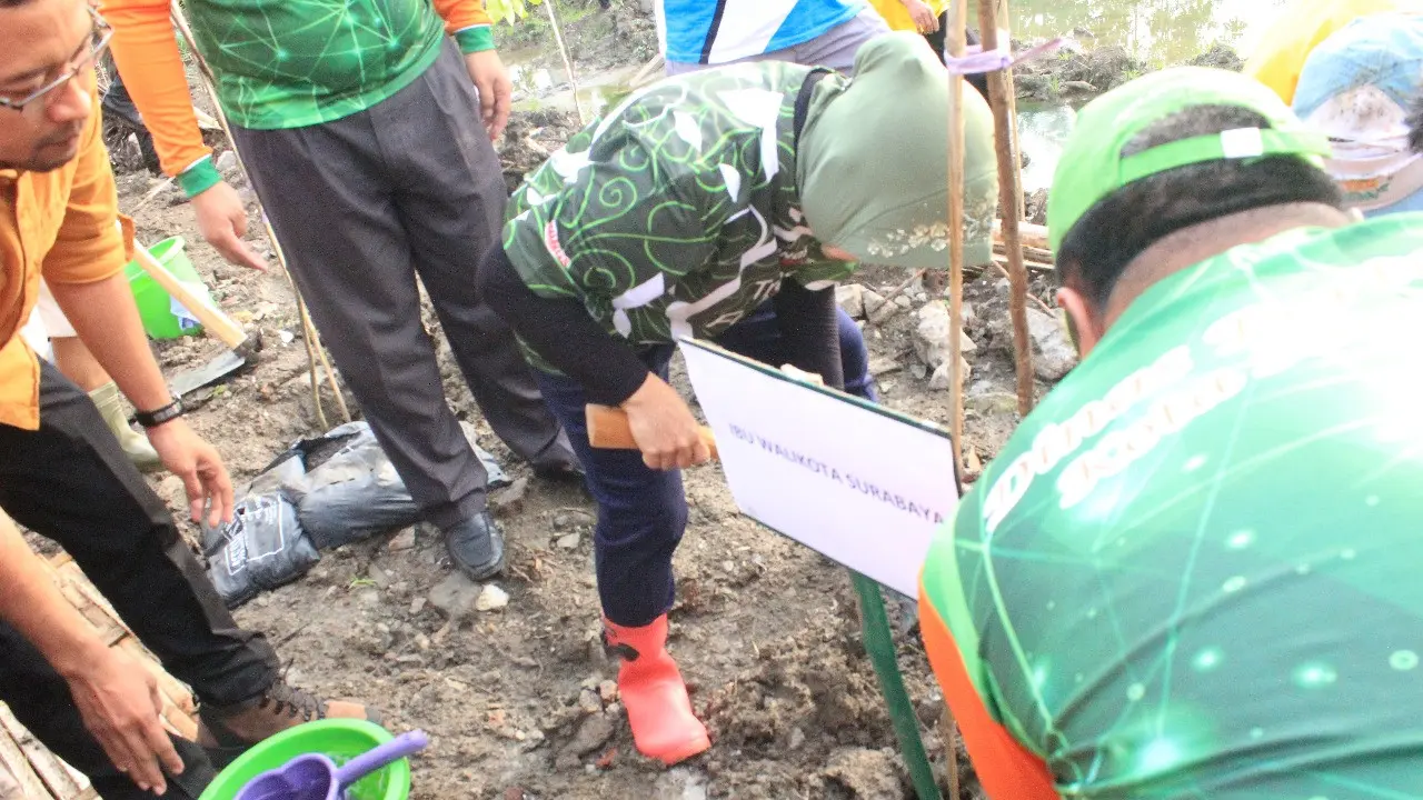 Wali Kota Risma Buat Hutan Kota Antibanjir di Lontar