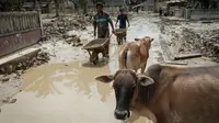 BNPB Sebut Pemkab Aceh Tamiang Sudah Usulkan Lahan untuk Hunian Sementara Bagi Korban Bencana