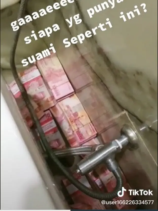 Viral video istri temukan uang di toilet