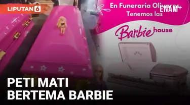 Heboh Peti Mati Bertema Barbie Warna Pink
