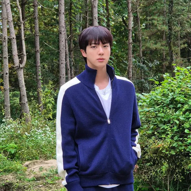 JIN BTS