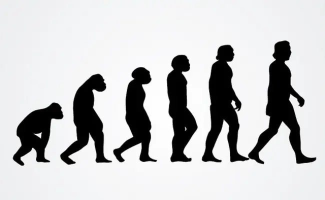 Ilustrasi evolusi. (Sumber Flickr/Vector Open Stock)