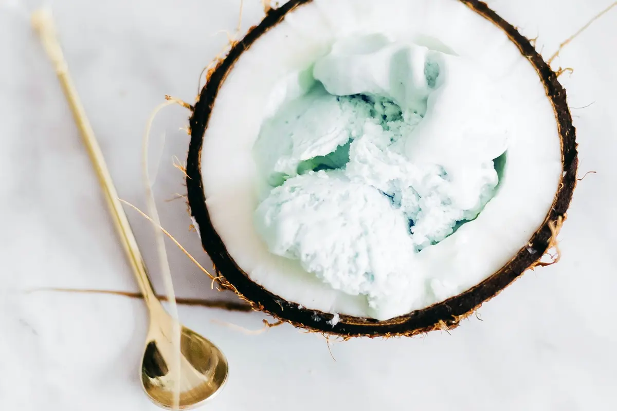 Ilustrasi Es Krim Kelapa