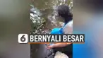 Bernyali Besar, Ibu-Ibu dengan Santai Beri Makan Buaya Rawa