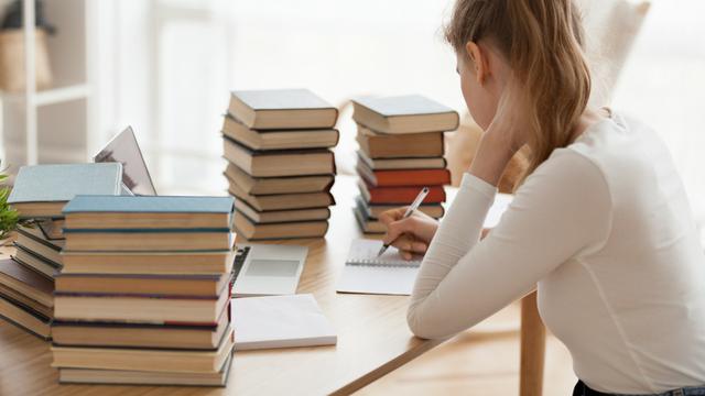 Jenis-jenis Majas dan Contohnya