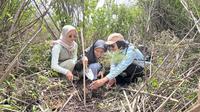Pelajar dan komunitas pecinta alam menanam bibit pohon jenis endemik Taman Nasional Bromo Tengger Semeru di kawasan Ranupani pada Selasa, 4 Februari 2024 (Dok BB TNBTS)&nbsp;