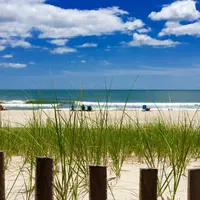 Island Beach State Park, New Jersey, Amerika Serikat. (newsworks.org)