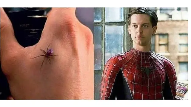 9 Foto Awal Mula Superhero ala Netizen yang Kocak Banget