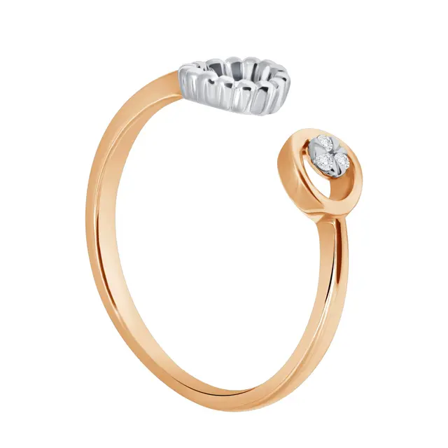 Ladies Ring The Palace