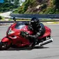 Suzuki Hayabusa (Paultan)