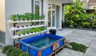 7 Cara Membuat Aquaponik Sederhana dari Kolam Terpal, Praktis untuk Pemula