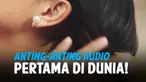 anting canggih