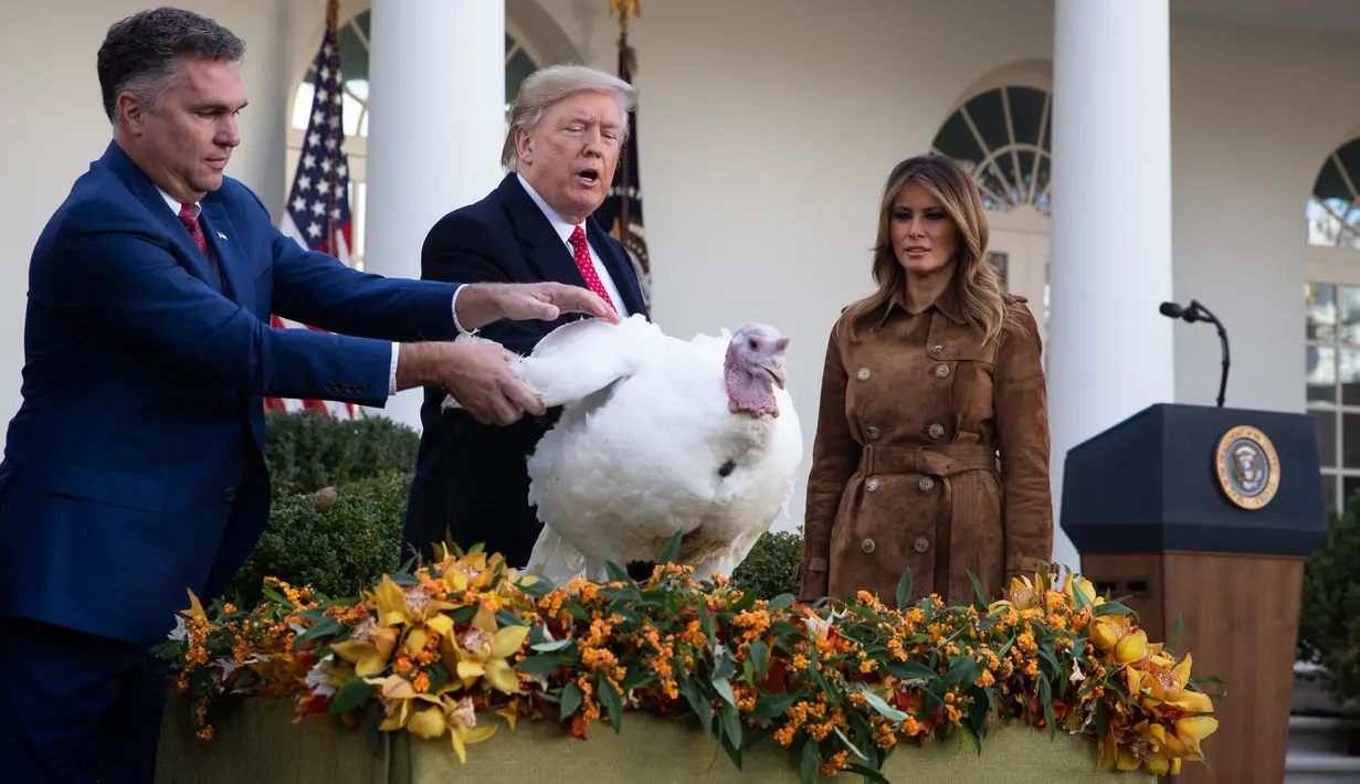 Ibu Negara Melania Trump menyaksikan Presiden Donald Trump memberikan pengampunan kepada kalkun dalam upacara Thanksgiving nasional di Rose Garden Gedung Putih, Selasa (26/11/2019). Ini merupakan tradisi tahunan yang diadakan di Gedung Putih sehari sebelum perayaan Hari Thanksgiving. (AP/Evan Vucci)