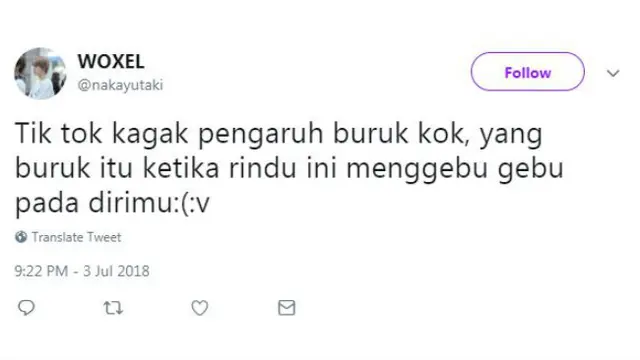 Cuitan pemblokiran Tik Tok 6