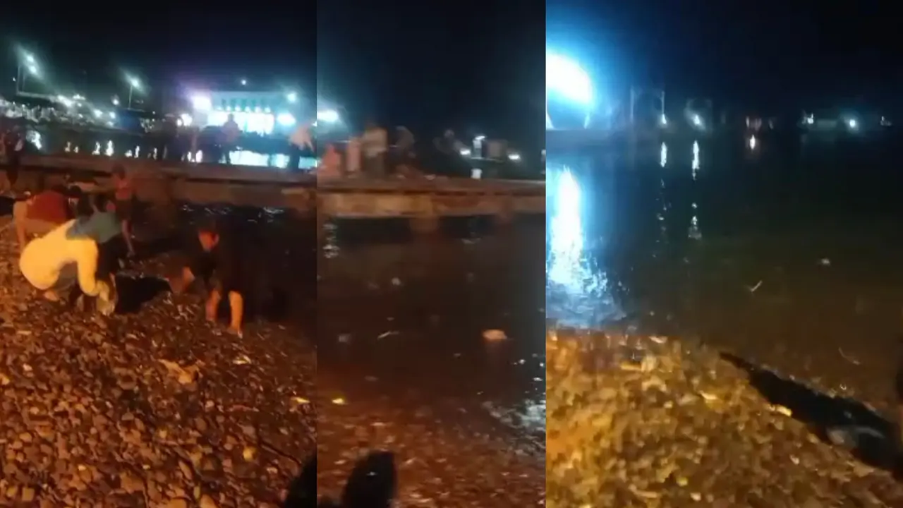 Tangkapan layar warga di Kabupaten Tanggamus mengumpulkan ribuan ikan yang melompat ke bibir pantai. Foto : (Istimewa).