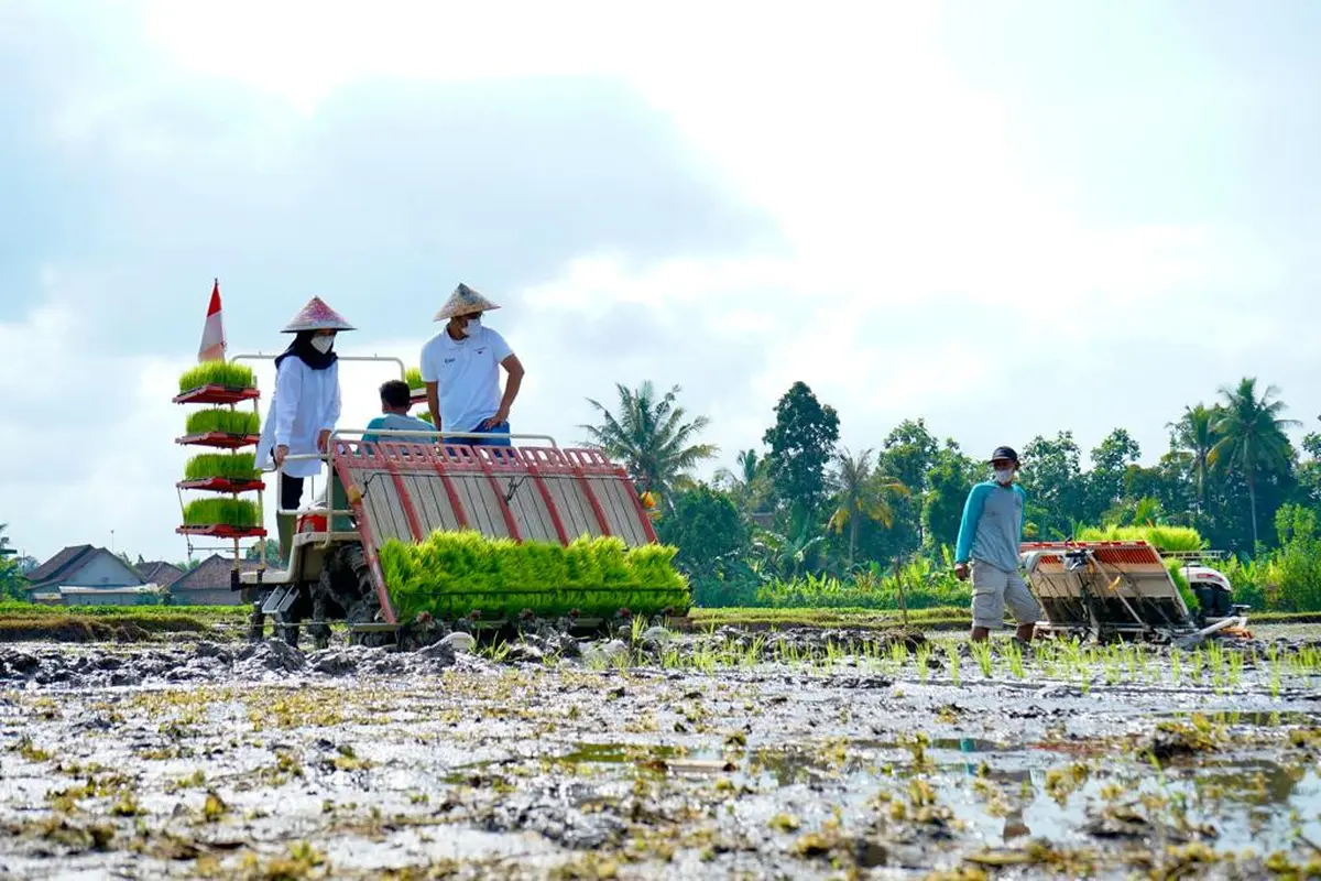 Tawarkan Modal Ratusan Juta, Bupati Ipuk Ajak Anak Muda Banyuwangi Ikuti Program Jagoan Tani