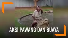Cara mengerikan dilakukan seorang pawang saat memberi makan buaya raksasa. Ia tak ragu-ragu bermain dengan buaya. Sampai-sampai berani menduduki si buaya raksasa tersebut.