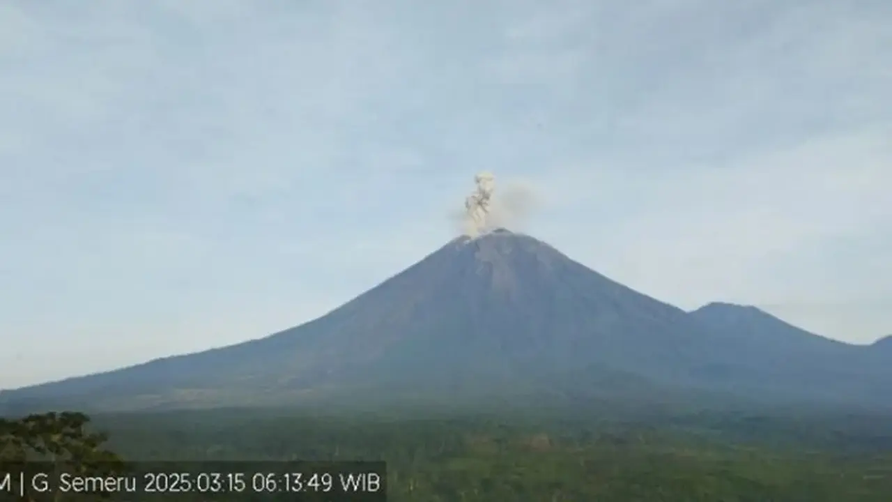 Gunung Semeru alami tiga kali erupsi dengan tinggi letusan mencapai 800 meter (Istimewa)