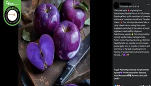 Kumpulan Hoaks Terkait Kanada, Penampakan Bulan hingga Apel Ungu