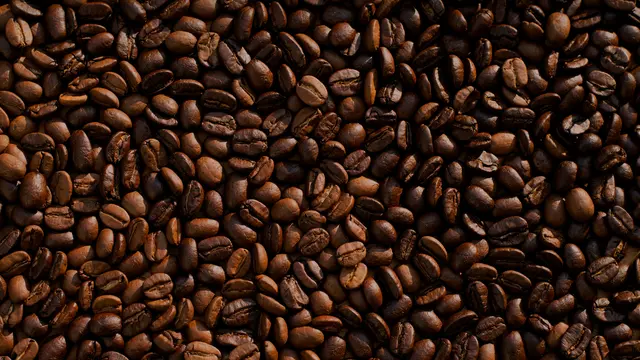 Biji Kopi Terbaik Dunia
