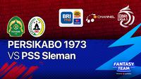 Jadwal Acara BRI Liga 1 Sore Ini : PSS Sleman Vs Persikabo 1973 di Vidio
