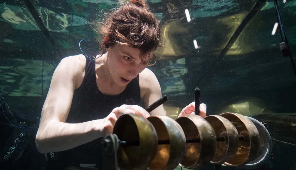 Anggota band Between Music saat latihan jelang Konser Underwater AquaSonic di Aarhus, Denmark, Rabu (19/4). Konser Underwater AquaSonic ingin membawa penonton melakukan perjalanan yang unik ke tempat yang belum dipetakan. (AFP PHOTO / Jonathan NACKSTRAND)