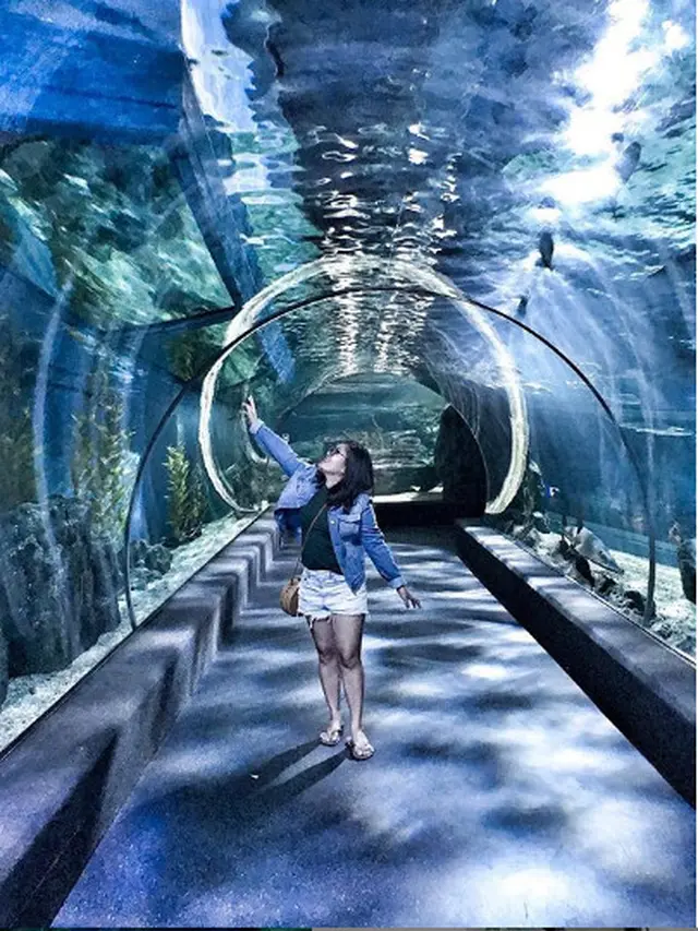 Sea Life Bangkok