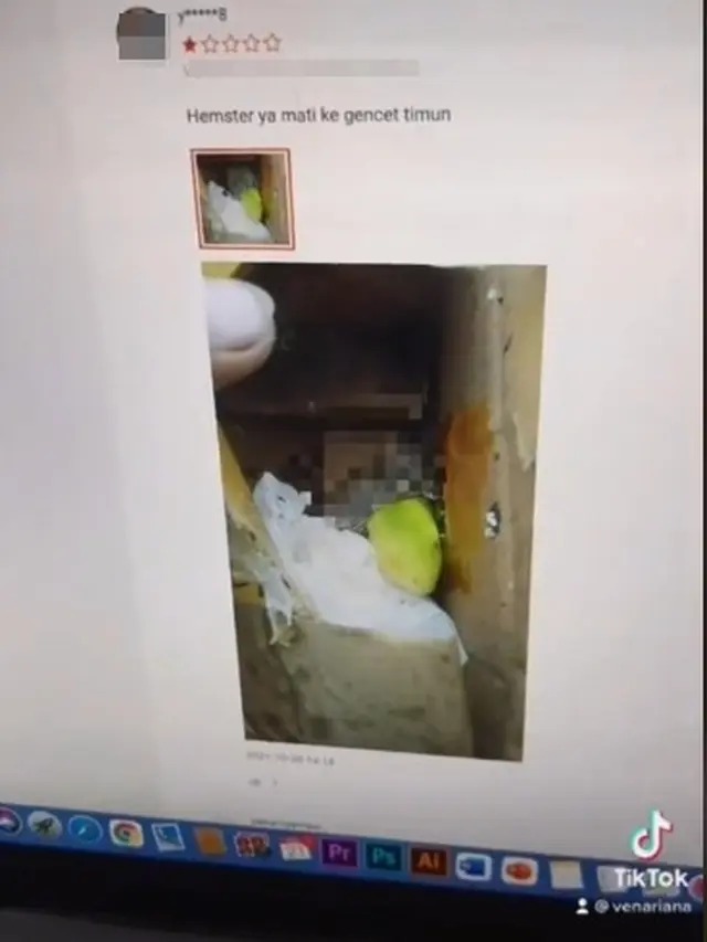 Cerita Unggahan Hamster Dijual Online Berujung Mati karena Dikirim Melalui Ekspedisi