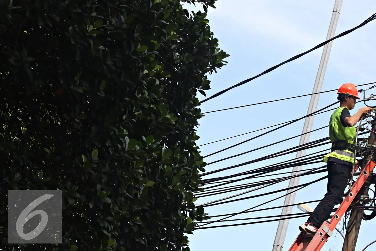20160226-Jaringan-Ilegal-di-Tiang-Listrik-Jakarta-IA